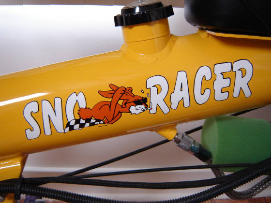 Custom SnoRacer decal.JPG
